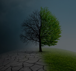 Climate Risk Assessment Report